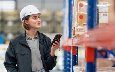 Maximizing Profitability through Effective Warehouse and Inventory Management in Texas